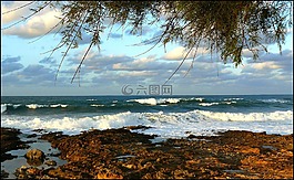 海,水,海灘