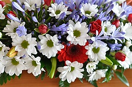 花束,花卉,花