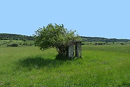 機(jī)艙,棄,景觀