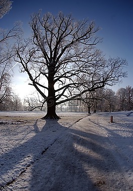城市公園哥達(dá),冰,冬天