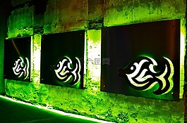 魚,跡象,綠色