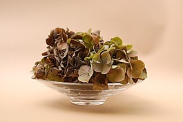hortencias,鲜花,花瓶