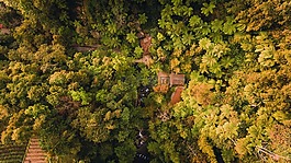無人駕駛飛機,景觀,空中