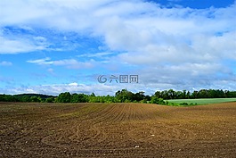 農(nóng)田,春,種植