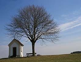 feldkapelle,樹,銀行
