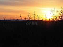 日落,浪漫,性質(zhì)