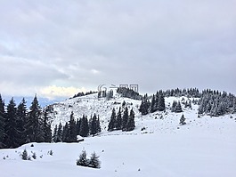 景觀,冬季,雪