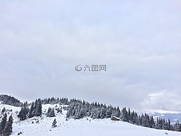 景觀,冬季,雪