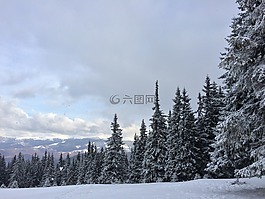 景觀,冬季,雪