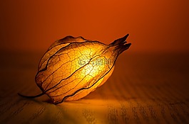 抽象,藝術(shù),背光