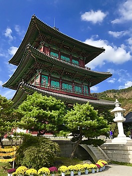 寺廟,韓國,botop