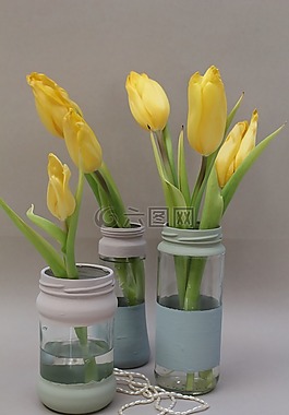 郁金香,花瓶,罐
