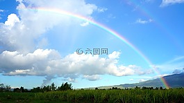 天空,彩虹,云