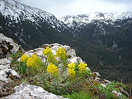 记录器,火山,山
