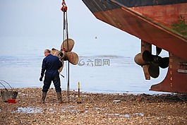 工作,海,船舶