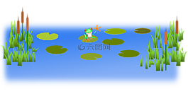 香蒲,青蛙,池