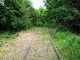 導(dǎo)軌,叢生,鐵路軌道