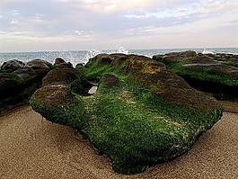 灣,海灘,地平線
