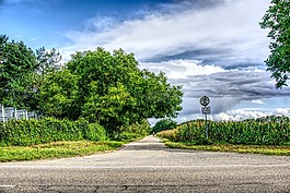 路,瀝青,景觀