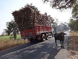 卡車,濫收費用,貨物