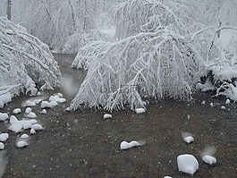 雪,分支機構,天氣