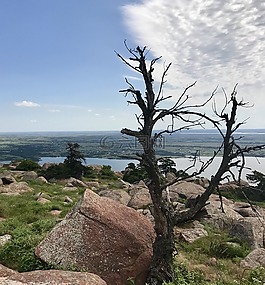 地平線,云,山