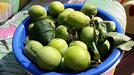蘋果,水果,收獲