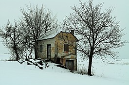 冬天,雪,木材
