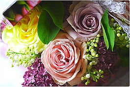 花束,玫瑰,liliac