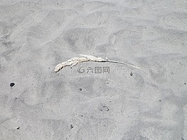 單,失去了,沙