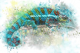 變色龍,爬行動物,蜥蜴