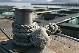 海,时间,包
