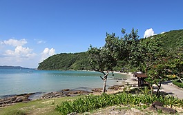 海洋,水,海