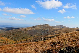 bieszczady,秋,榉木berdo
