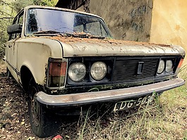 菲亞特,汽車,車輛