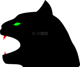 豹,黑,貓