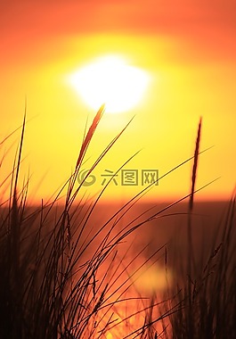 海灘,海,太陽