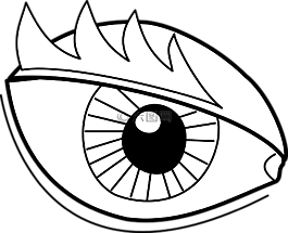 視覺,眉毛,眼