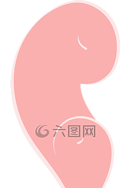 粉色,程式化,愛情