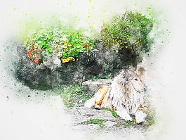狗,鮮花,動(dòng)物