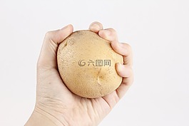 土豆,蔬菜,食品