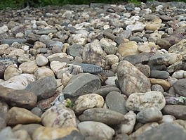 石頭,卵石