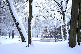 冬天,雪,感冒