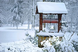 雪,冬天,弗羅斯特