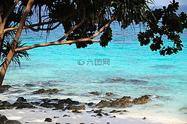 海灘,海,泰國
