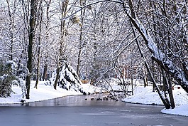 冬天,雪,感冒