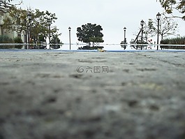 樹,游泳池的窗臺(tái),校園