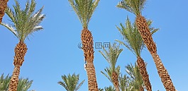 游泳池,夏季,天空