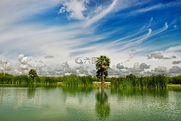 景觀,天空,云