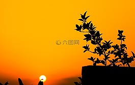 紅色,天空,日落